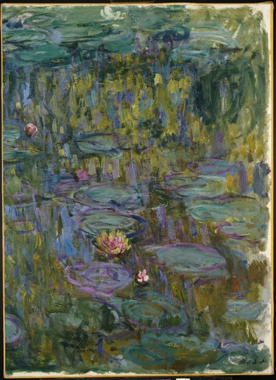 Nenúfares de Claude Monet