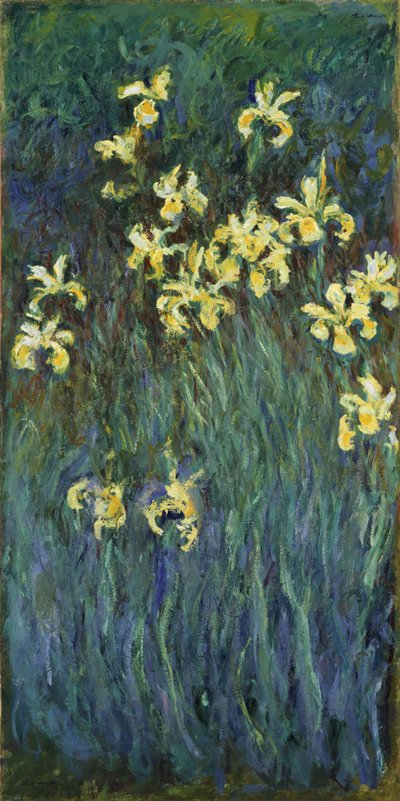 Iris amarillos, 1914-1917 de Claude Monet