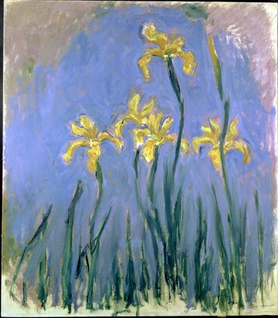 Iris amarillos; Les Iris Jaunes, c.1918-1925 de Claude Monet