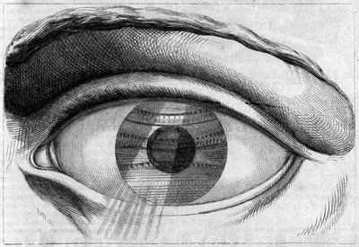 Una mirada al teatro de Besançon por Claude Nicolas Ledoux (1736-1806). de Claude Nicolas Ledoux