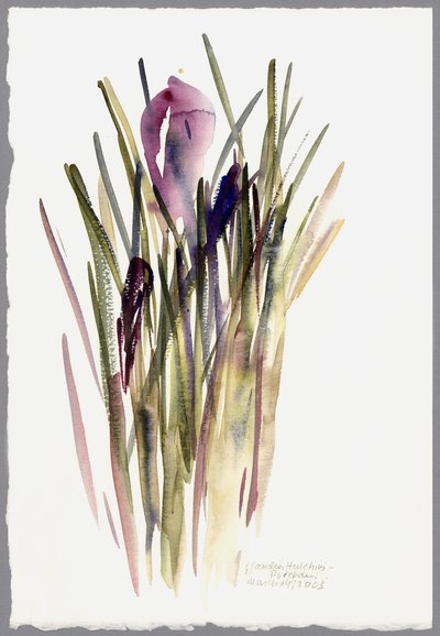Crocus, 2003 de Claudia Hutchins Puechavy