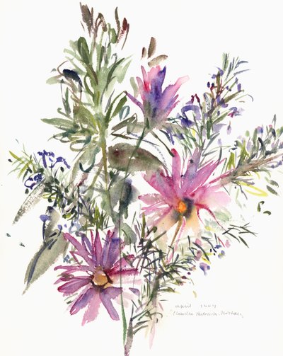 Floral, margaritas sudafricanas y lavanda, 2004 de Claudia Hutchins Puechavy