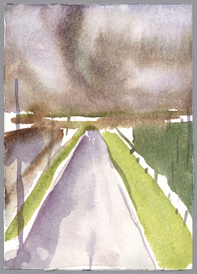Tormenta en ruta, 1995 de Claudia Hutchins Puechavy