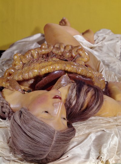 Modelo de una mujer destripada de Clemente Susini