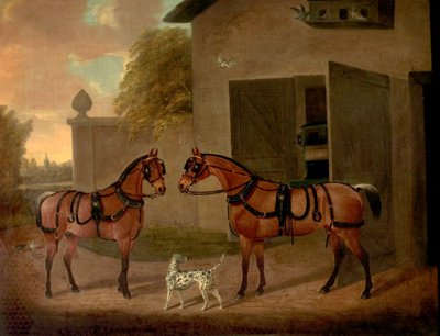 Carruajes, caballos y perros de Clifton Tomson
