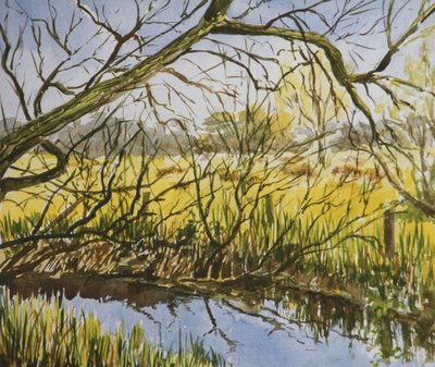 Water Meadows, Kintbury, a principios de mayo por la tarde de Clive Wilson