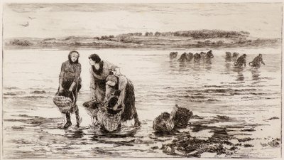 Los recolectores de mejillones de Colin Hunter