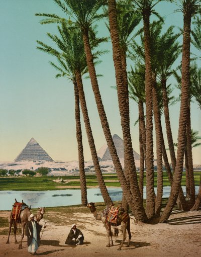 Palmeras, beduinos y pirámides, El Cairo, Egipto de Company Photoglob