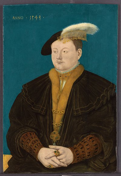 Retrato de Friedrich Magnus I von Solms-Laubach, 1543 de Conrad Faber