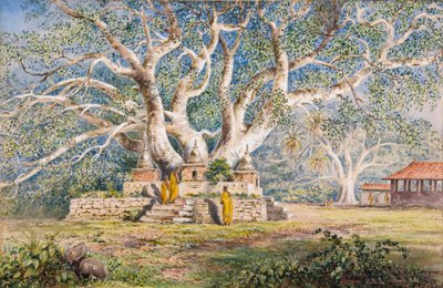 Árbol sagrado de Bo en el lugar de enterramiento de las reinas de Kandian de Constance Frederica Gordon Cumming