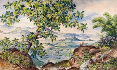 Estudio del Frutal del Pan, Pico Allegalla de Constance Frederica Gordon Cumming