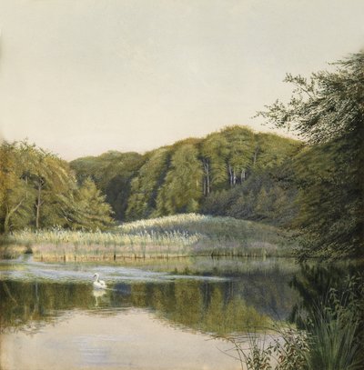 Cisnes en el estanque de Paddington de Constance Phillott