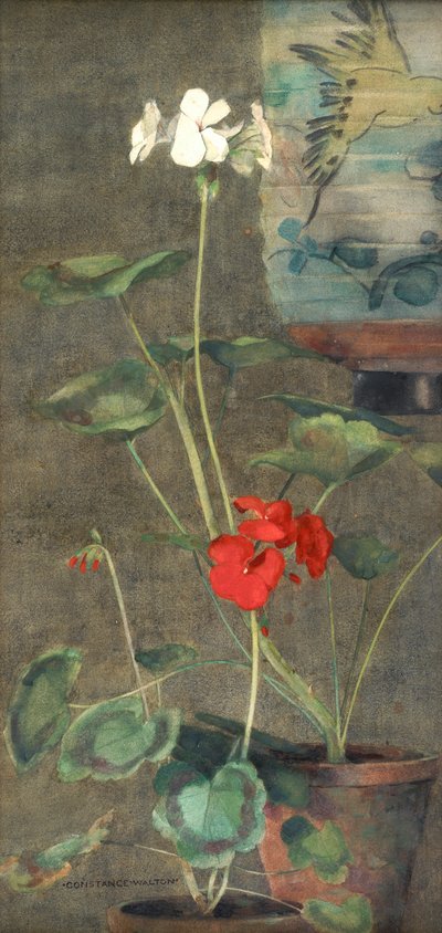 Geranios y linterna japonesa (acuarela sobre papel) de Constance Walton