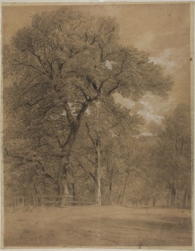 La linde de un bosque de Constant Troyon