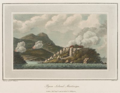Isla de las Palomas en Martinica. Litografía (56,6x43,4 cm), por el reverendo Cooper Willyams (1762-1816) de Cooper (after) Willyams