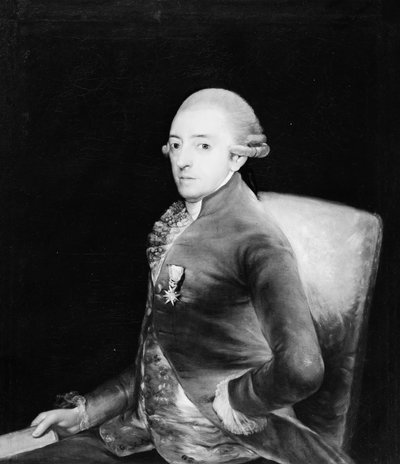Don Bernardo de Iriarte 1735-1814 de Copy after Goya