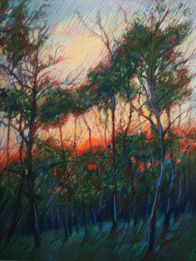 El resplandor del atardecer en el bosque de Corné Akkers