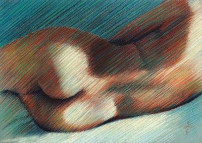 Curvas sensuales del cuerpo de Corné Akkers