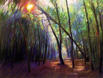 La luz del sol entre los árboles de Corné Akkers