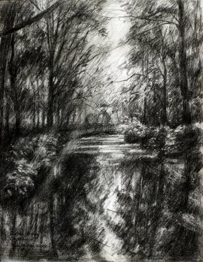 Sendero sinuoso por el bosque de Corné Akkers
