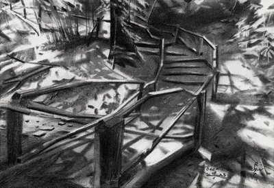 Escaleras sinuosas en el bosque de Corné Akkers