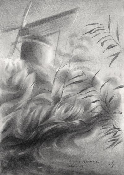 Molinos de viento y cañas: serenidad de Corné Akkers