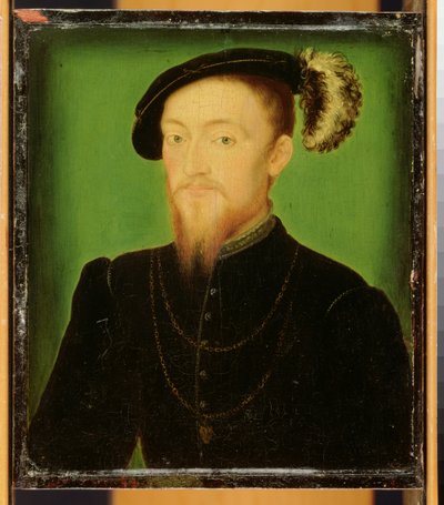 Hombre con una pluma en el sombrero de Corneille de Lyon