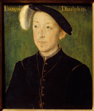 Retrato de Carlos de Francia, Duque de Orleans (1522-1545) (quizás el tercer hijo de Francisco I). Pintura sobre madera de Corneille De Lyon (Corneille de La Haya) (1500/1510-1574) siglo XVI Dim. 0,16x0,13 m Bayona, Museo Bonnat de Corneille de Lyon