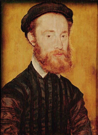 Retrato de un hombre con cabello rubio de Corneille de Lyon