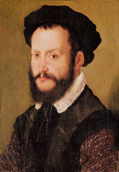 Retrato de un hombre con cabello castaño, c.1560 de Corneille de Lyon