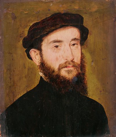 Retrato de un hombre desconocido de Corneille de Lyon