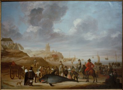 Ballena en la Playa de Scheveningen de Cornelis Beelt