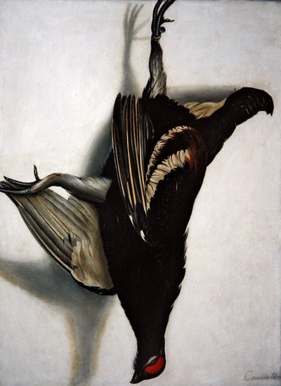 Un trampantojo de un gallo negro de Cornelis Biltius
