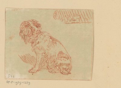 Perro sentado de Cornelis Brouwer (possibly)