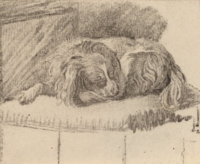 Perro acostado, 1777 de Cornelis Brouwer