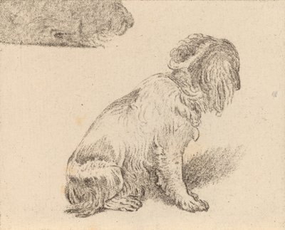 Perro sentado de Cornelis Brouwer