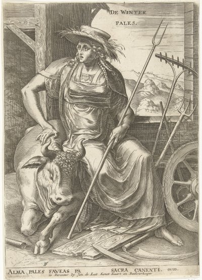 palidece de Cornelis Cort