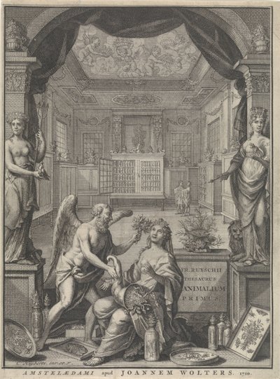 Alegoría de la Naturaleza de Cornelis Huyberts