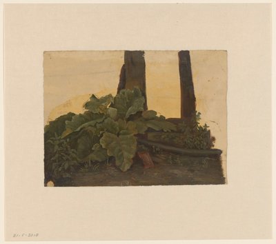 Plantas en la base de un tronco de Cornelis Johannes de Vogel