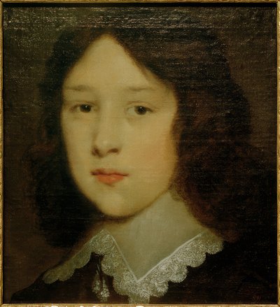 Retrato de un joven de Cornelis Johnson van Keulen