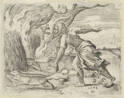 Sansón prende fuego a los campos de maíz de los filisteos Historia de Sansón (título de la serie) de Cornelis Massijs