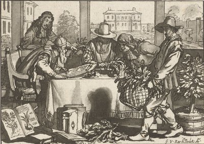 botánico de Cornelis Ploos van Amstel (signed by artist)