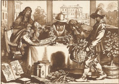 botánico de Cornelis Ploos van Amstel (signed by artist)