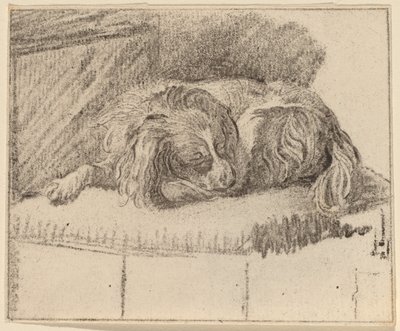 Perro Acostado de Cornelis Ploos van Amstel