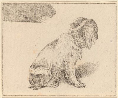 Perro sentado de Cornelis Ploos van Amstel