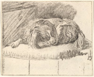 Perro durmiendo de Cornelis Ploos van Amstel