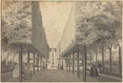  de Cornelis Pronk
