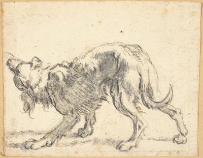 Un perro de Cornelis Saftleven