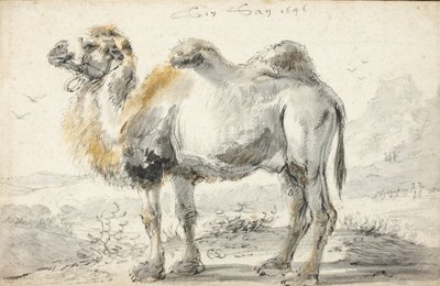 Un camello de Cornelis Saftleven