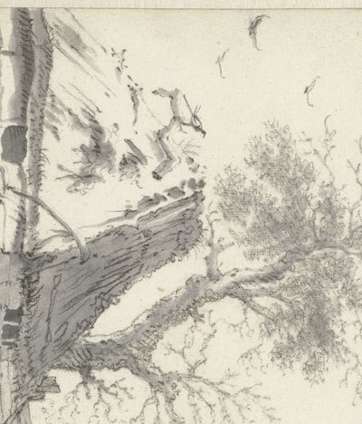 Casa de campo cerca del agua de Cornelis Saftleven